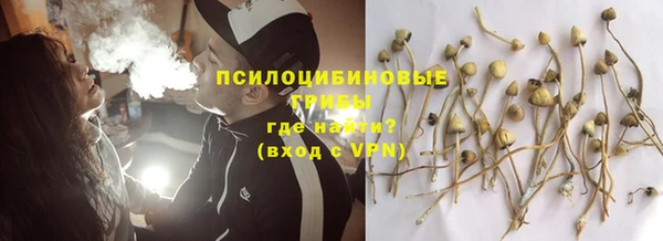 экстази Богородск