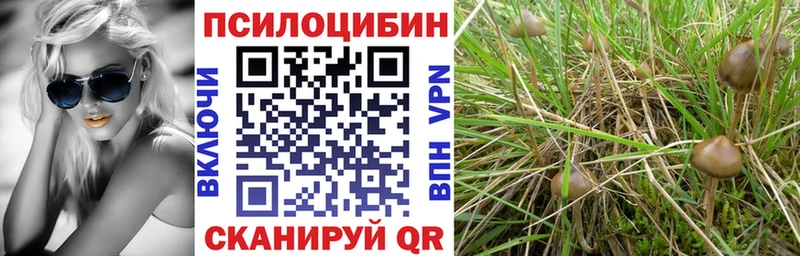 blacksprut tor  купить  сайты  Гатчина  Галлюциногенные грибы Magic Shrooms 