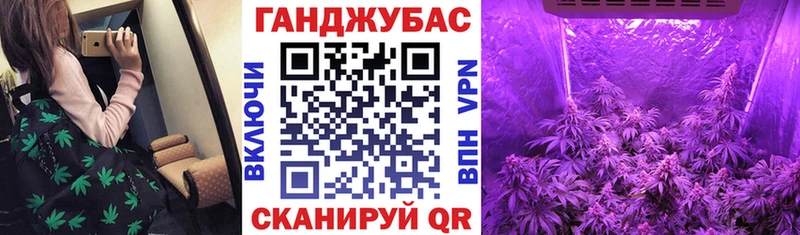 Бошки Шишки сатива  цены   МЕГА онион  Гатчина 